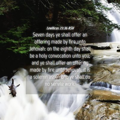 Picture 04 - Leviticus 23:36 ASV - Seven days ye shall offer an offering made by - Bible Verse Picture