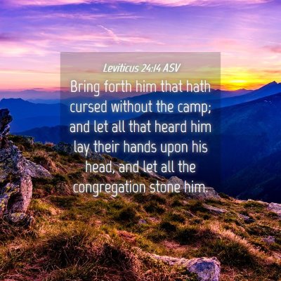 Picture 04 - Leviticus 24:14 ASV - Bring forth him that hath cursed without the - Bible Verse Picture