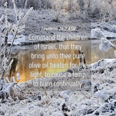 Picture 04 - Leviticus 24:2 ASV - Command the children of Israel, that they bring - Bible Verse Picture