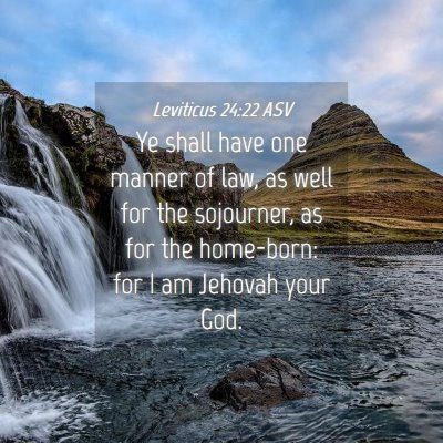 Picture 04 - Leviticus 24:22 ASV - Ye shall have one manner of law, as well for the - Bible Verse Picture