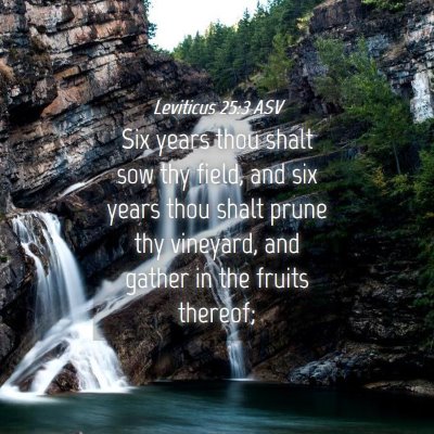 Picture 04 - Leviticus 25:3 ASV - Six years thou shalt sow thy field, and six years - Bible Verse Picture