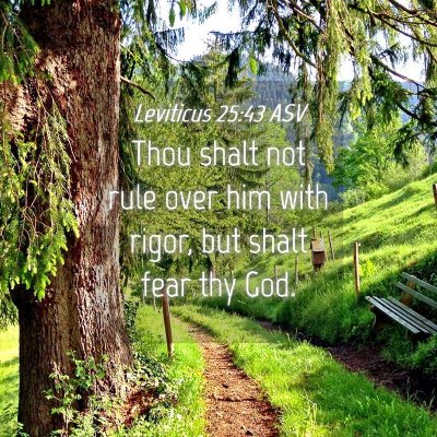 Picture 04 - Leviticus 25:43 ASV - Thou shalt not rule over him with rigor, but - Bible Verse Picture