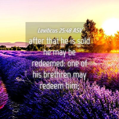 Picture 04 - Leviticus 25:48 ASV - after that he is sold he may be redeemed: one of - Bible Verse Picture