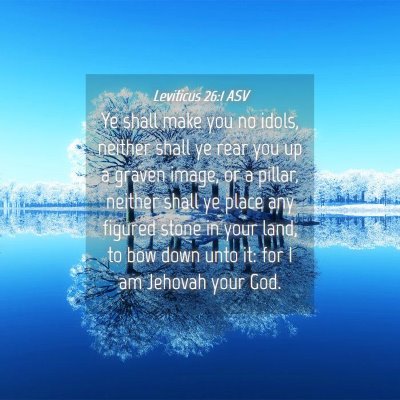 Picture 04 - Leviticus 26:1 ASV - Ye shall make you no idols, neither shall ye rear - Bible Verse Picture