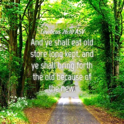 Picture 04 - Leviticus 26:10 ASV - And ye shall eat old store long kept, and ye - Bible Verse Picture