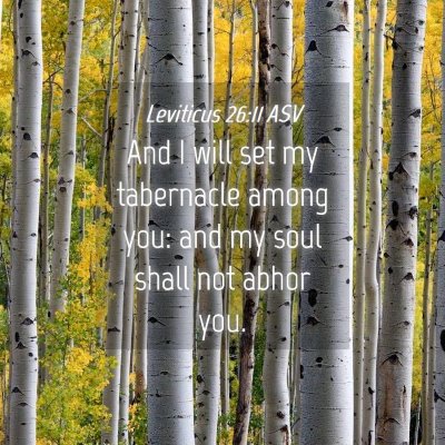 Picture 04 - Leviticus 26:11 ASV - And I will set my tabernacle among you: and my - Bible Verse Picture