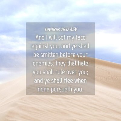 Picture 04 - Leviticus 26:17 ASV - And I will set my face against you, and ye shall - Bible Verse Picture