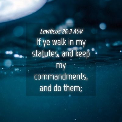Picture 04 - Leviticus 26:3 ASV - If ye walk in my statutes, and keep my - Bible Verse Picture