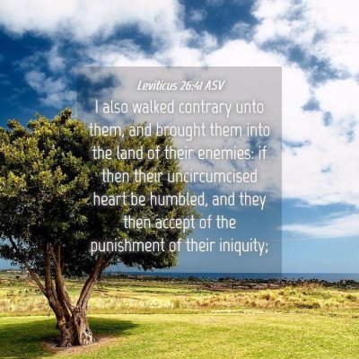 Picture 04 - Leviticus 26:41 ASV - I also walked contrary unto them, and brought - Bible Verse Picture
