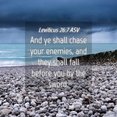 Picture 04 - Leviticus 26:7 ASV - And ye shall chase your enemies, and they shall - Bible Verse Picture
