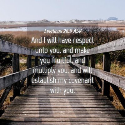 Picture 04 - Leviticus 26:9 ASV - And I will have respect unto you, and make you - Bible Verse Picture