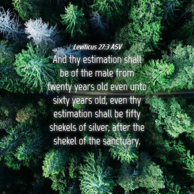 Picture 04 - Leviticus 27:3 ASV - And thy estimation shall be of the male from - Bible Verse Picture