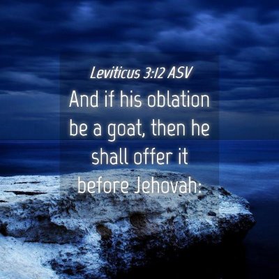 Picture 04 - Leviticus 3:12 ASV - And if his oblation be a goat, then he shall - Bible Verse Picture