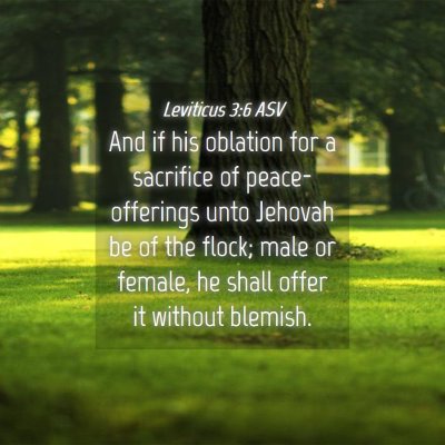 Picture 04 - Leviticus 3:6 ASV - And if his oblation for a sacrifice of - Bible Verse Picture