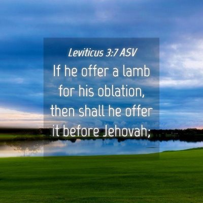 Picture 04 - Leviticus 3:7 ASV - If he offer a lamb for his oblation, then shall - Bible Verse Picture