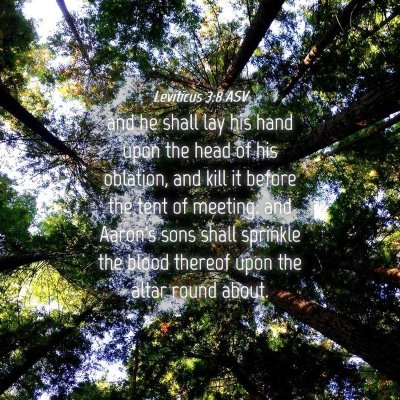Picture 04 - Leviticus 3:8 ASV - and he shall lay his hand upon the head of his - Bible Verse Picture