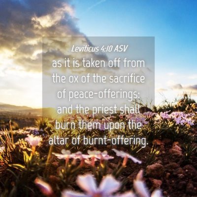 Picture 04 - Leviticus 4:10 ASV - as it is taken off from the ox of the sacrifice - Bible Verse Picture
