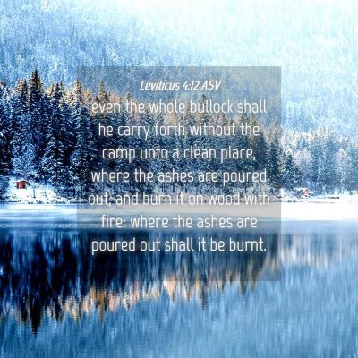 Picture 04 - Leviticus 4:12 ASV - even the whole bullock shall he carry forth - Bible Verse Picture