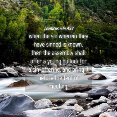 Picture 04 - Leviticus 4:14 ASV - when the sin wherein they have sinned is known, - Bible Verse Picture