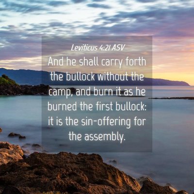 Picture 04 - Leviticus 4:21 ASV - And he shall carry forth the bullock without the - Bible Verse Picture