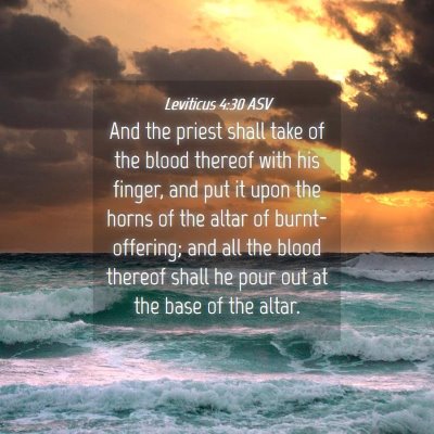 Picture 04 - Leviticus 4:30 ASV - And the priest shall take of the blood thereof - Bible Verse Picture