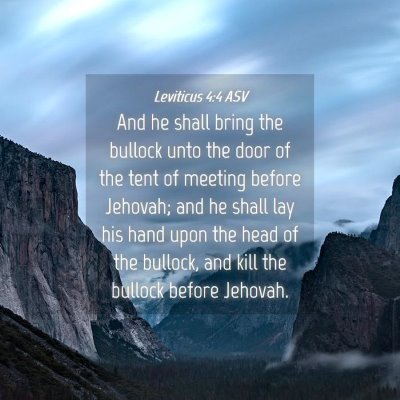 Picture 04 - Leviticus 4:4 ASV - And he shall bring the bullock unto the door of - Bible Verse Picture