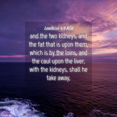 Picture 04 - Leviticus 4:9 ASV - and the two kidneys, and the fat that is upon - Bible Verse Picture