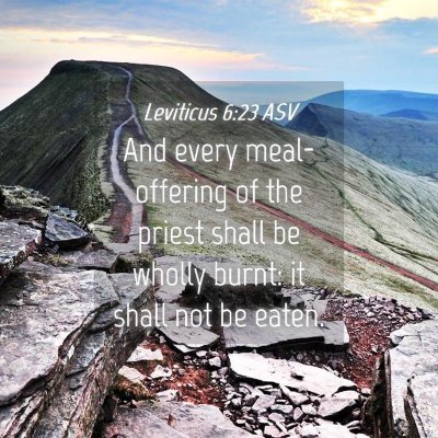 Picture 04 - Leviticus 6:23 ASV - And every meal-offering of the priest shall be - Bible Verse Picture