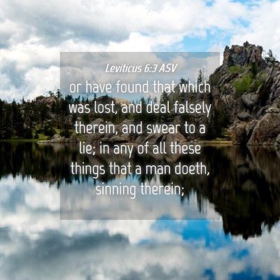 Picture 04 - Leviticus 6:3 ASV - or have found that which was lost, and deal - Bible Verse Picture