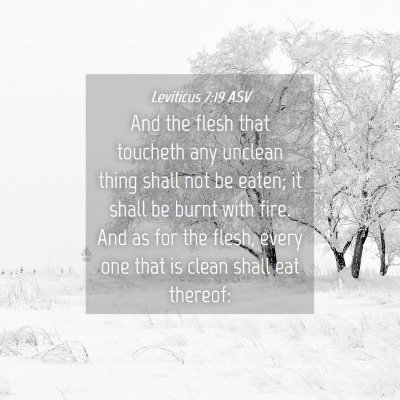 Picture 04 - Leviticus 7:19 ASV - And the flesh that toucheth any unclean thing - Bible Verse Picture