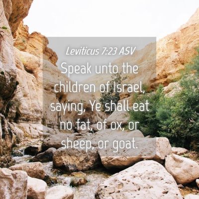 Picture 04 - Leviticus 7:23 ASV - Speak unto the children of Israel, saying, Ye - Bible Verse Picture