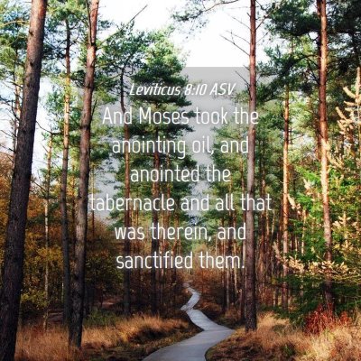 Picture 04 - Leviticus 8:10 ASV - And Moses took the anointing oil, and anointed - Bible Verse Picture