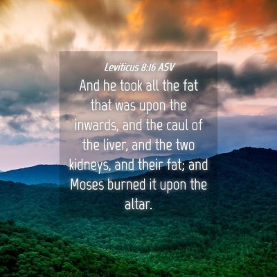 Picture 04 - Leviticus 8:16 ASV - And he took all the fat that was upon the - Bible Verse Picture