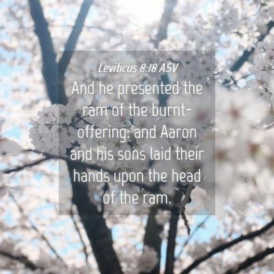 Picture 04 - Leviticus 8:18 ASV - And he presented the ram of the burnt-offering: - Bible Verse Picture