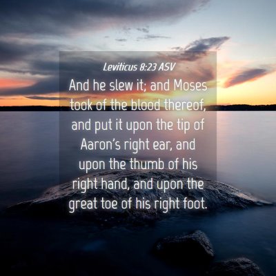 Picture 04 - Leviticus 8:23 ASV - And he slew it; and Moses took of the blood - Bible Verse Picture