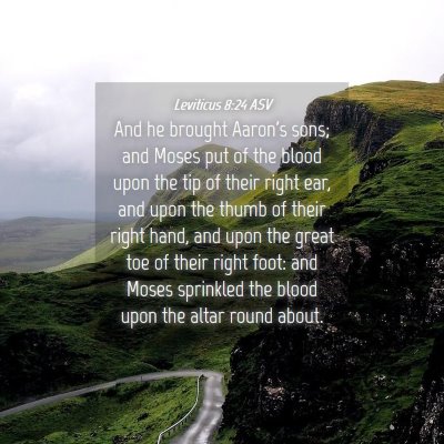 Picture 04 - Leviticus 8:24 ASV - And he brought Aaron's sons; and Moses put of the - Bible Verse Picture