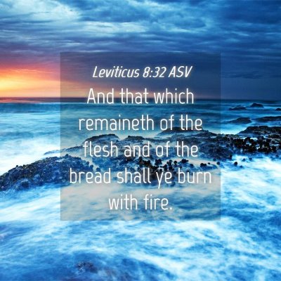 Picture 04 - Leviticus 8:32 ASV - And that which remaineth of the flesh and of the - Bible Verse Picture