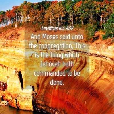 Picture 04 - Leviticus 8:5 ASV - And Moses said unto the congregation, This is the - Bible Verse Picture