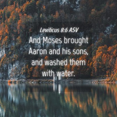 Picture 04 - Leviticus 8:6 ASV - And Moses brought Aaron and his sons, and washed - Bible Verse Picture