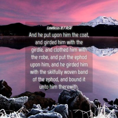 Picture 04 - Leviticus 8:7 ASV - And he put upon him the coat, and girded him with - Bible Verse Picture