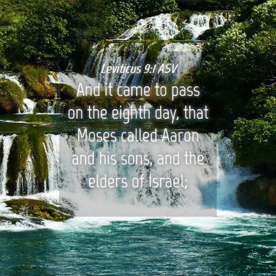 Picture 04 - Leviticus 9:1 ASV - And it came to pass on the eighth day, that Moses - Bible Verse Picture
