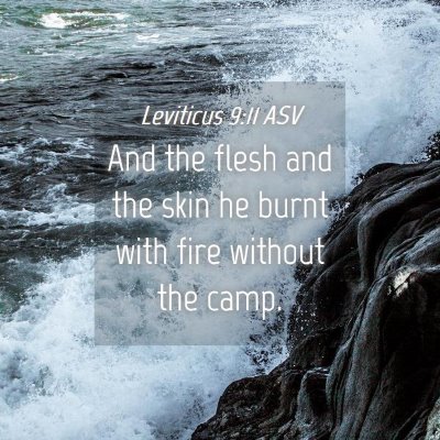 Picture 04 - Leviticus 9:11 ASV - And the flesh and the skin he burnt with fire - Bible Verse Picture
