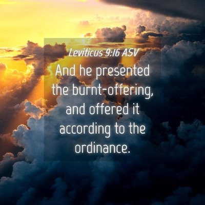 Picture 04 - Leviticus 9:16 ASV - And he presented the burnt-offering, and offered - Bible Verse Picture