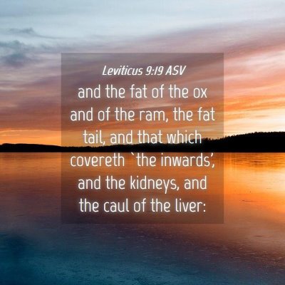 Picture 04 - Leviticus 9:19 ASV - and the fat of the ox and of the ram, the fat - Bible Verse Picture