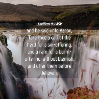 Picture 04 - Leviticus 9:2 ASV - and he said unto Aaron, Take thee a calf of the - Bible Verse Picture