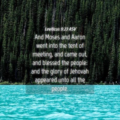 Picture 04 - Leviticus 9:23 ASV - And Moses and Aaron went into the tent of - Bible Verse Picture