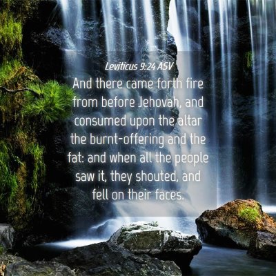 Picture 04 - Leviticus 9:24 ASV - And there came forth fire from before Jehovah, - Bible Verse Picture