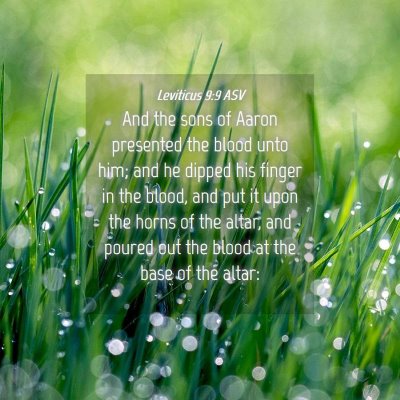 Picture 04 - Leviticus 9:9 ASV - And the sons of Aaron presented the blood unto - Bible Verse Picture