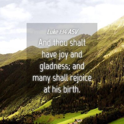 Picture 04 - Luke 1:14 ASV - And thou shalt have joy and gladness; and many - Bible Verse Picture