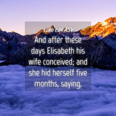 Picture 04 - Luke 1:24 ASV - And after these days Elisabeth his wife - Bible Verse Picture